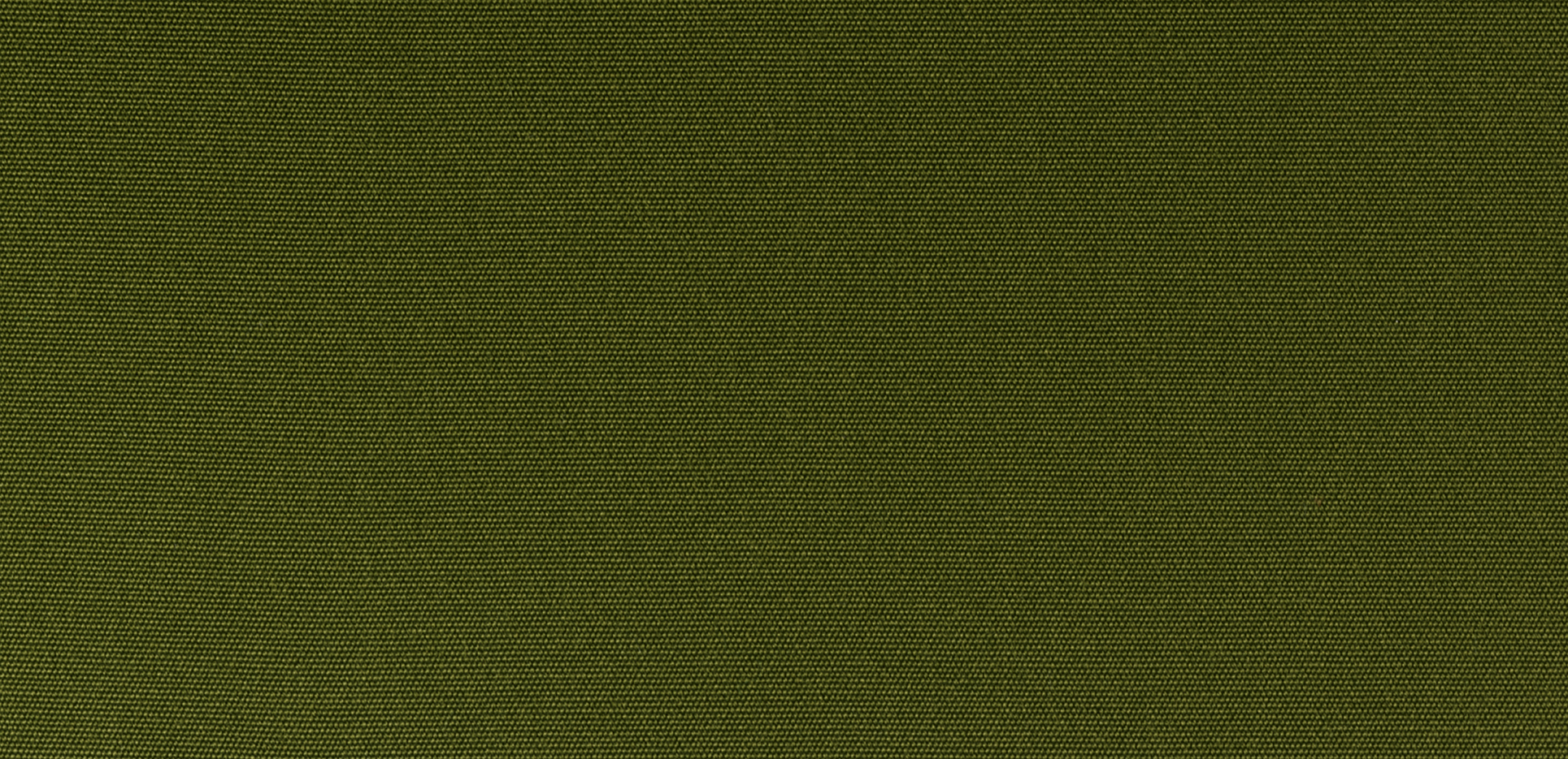 50 Olive