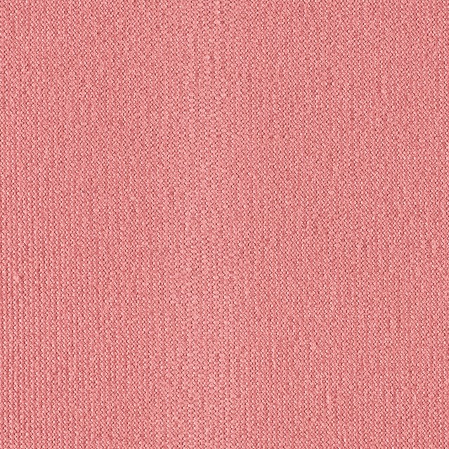 Rosa Uni