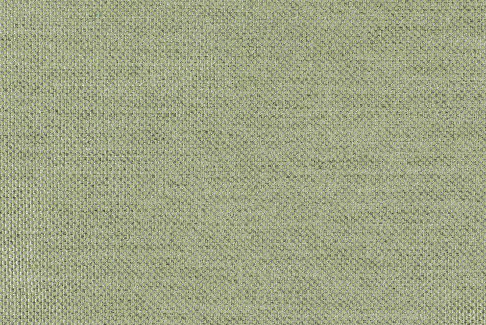 Panama Menta #P14