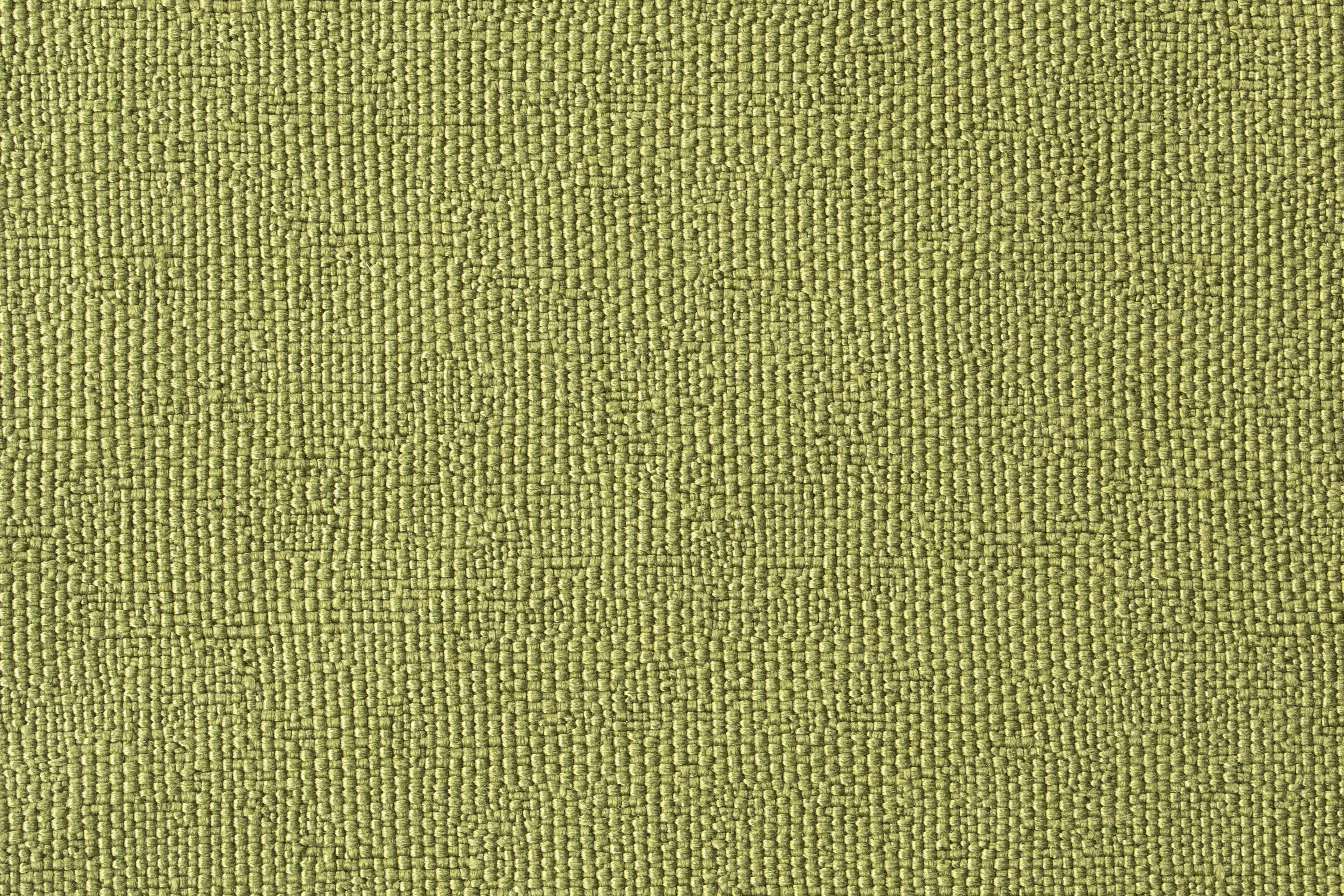 Ambra Lime