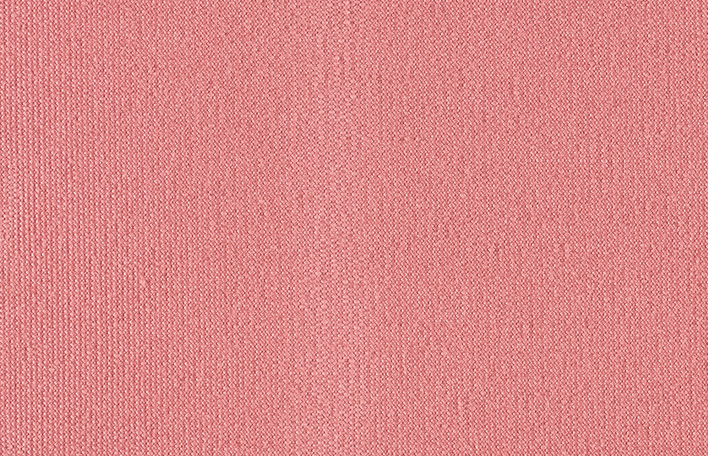 11 Rosa